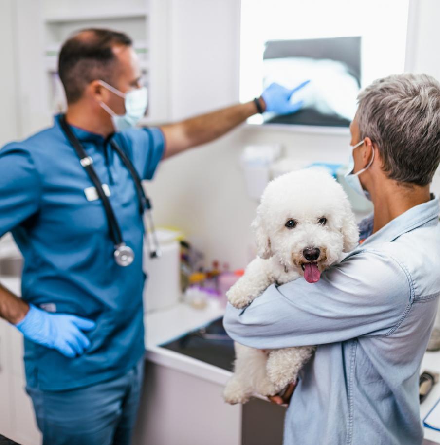 Mobile Veterinary Lab.